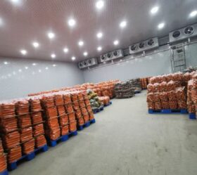 Customized Industrial Large Scale Steel Structure Cold Storage Warehouse Energy Saving for Frozen Food