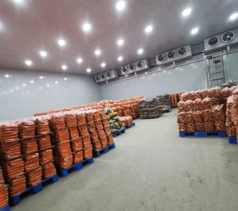 Choosing the Right Cold Room for Your Business