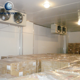 Industrial Cold Storage Room for Meat and Fish Freezer Warehouse