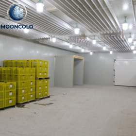 Industrial Cold Room Industrial Negative Cold Room