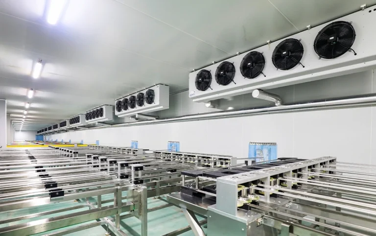 What are the factors that affect the construction cost of cold storage?