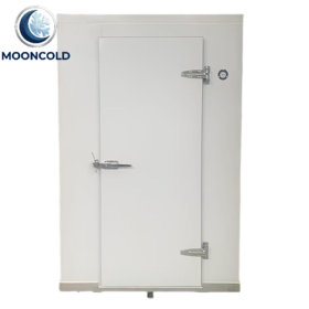 Cold Room Hinged Door Walk-in Cooler Door for Cold Storage