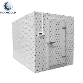 Intelligent Regulation Low Temp Cold Storage Room Meat Cold Room Price Blast Freezer Walk in Cooler