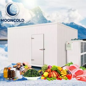 Walk in Cooler and Freezer Cooling Storage Room Freezing Rooms for Frozen Meat for Fruits