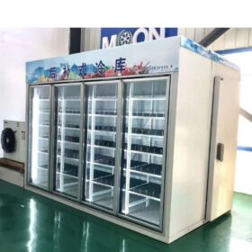 Commercial Refrigerator Glass Door Fast Delivery Cooler Freezer Glass Door for Walk-in Rooms